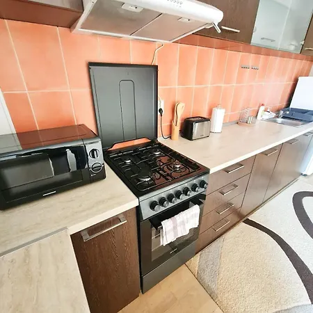 Stylish Penthouse With View & Private Parking Διαμέρισμα Τιμισοάρα