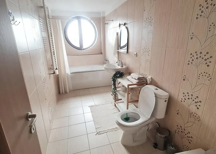 Stylish Penthouse With View & Private Parking * Τιμισοάρα