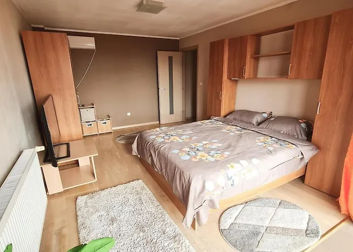 Stylish Penthouse With View & Private Parking Apartment Timişoara