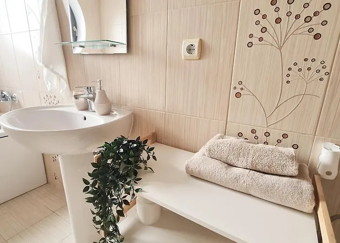 Stylish Penthouse With View & Private Parking * Τιμισοάρα