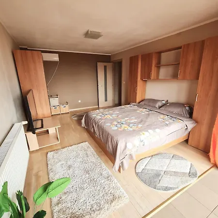Stylish Penthouse With View & Private Parking Апартаменты Тимишоара
